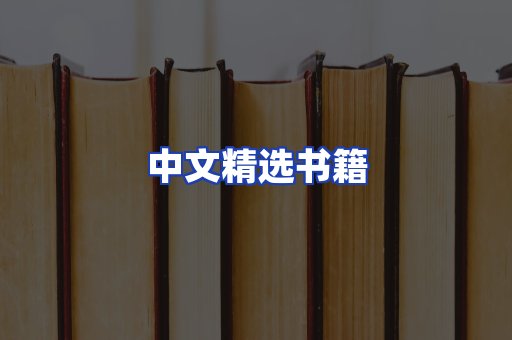 中文精选书籍
